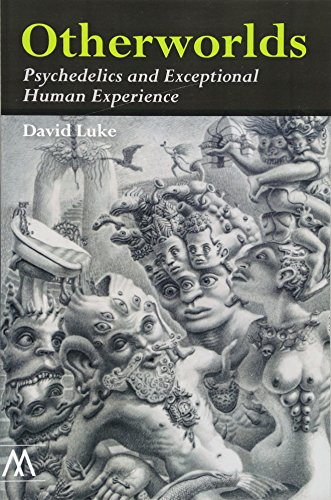 Stock-Bild f�r Otherworlds: Psychedelics and Exceptional Human Experience (Muswell Hill Press)