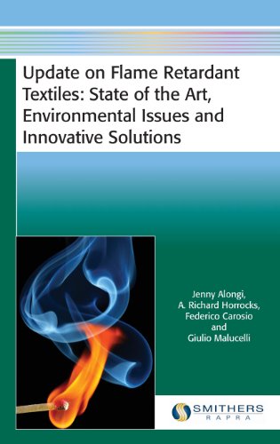 9781909030176: Update on Flame Retardant Textiles: State of the Art, Environmental Issues and Innovative Solutions