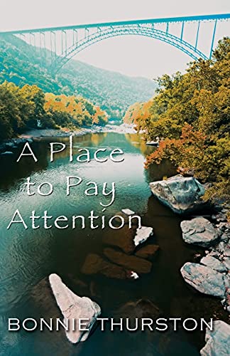 Stock image for A Place to Pay Attention for sale by The Maryland Book Bank