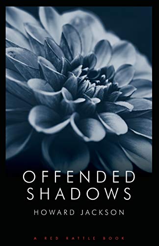 Stock image for Offended Shadows for sale by Lucky's Textbooks