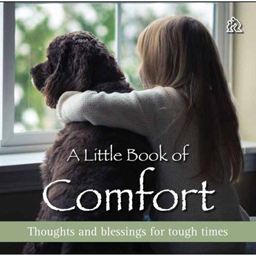 Beispielbild fr A Little Book of Comfort zum Verkauf von WorldofBooks