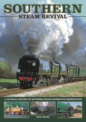 Beispielbild fr Southern Steam Revival: 1 zum Verkauf von WorldofBooks