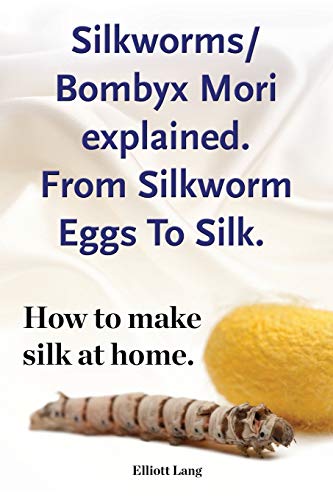 9781909151901: Silkworm/Bombyx Mori explained. From Silkworm Eggs To Silk. How to make silk at home. Raising silkworms, the mulberry silkworm, bombyx mori, where to buy silkworms all included.