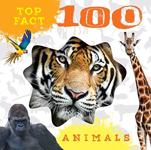 Stock image for Animals (Top Fact 100 Books Series) for sale by BombBooks