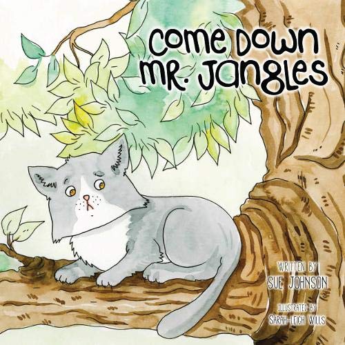 Beispielbild fr Come Down Mr Jangles (Adventures Of Vinny The Vet & Mr Jangles, Band 1) zum Verkauf von medimops