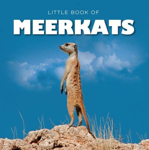 Beispielbild fr Little Book of Meerkats zum Verkauf von Reuseabook