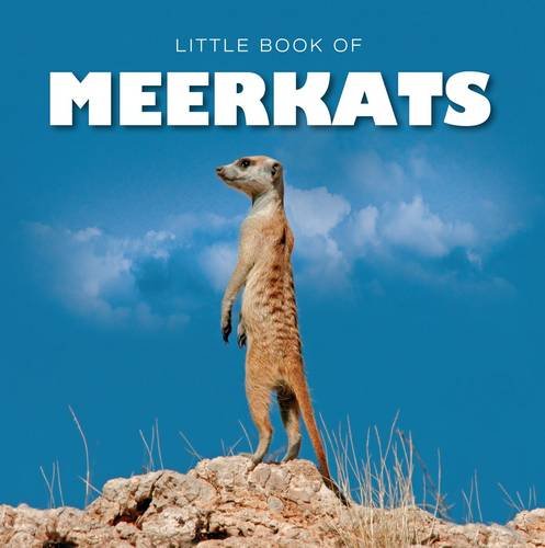 Stock image for Little Book of Meerkats for sale by Reuseabook