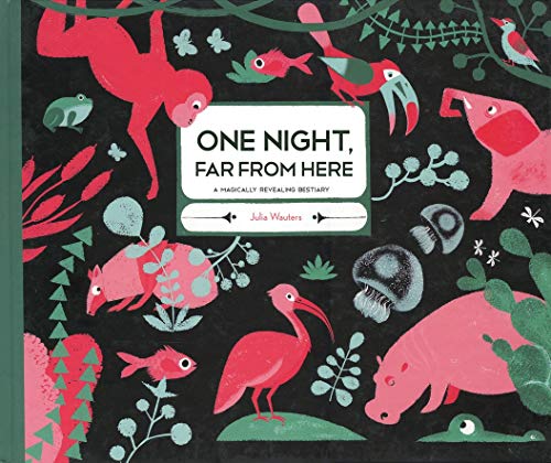 Beispielbild fr One Night, Far From Here zum Verkauf von HPB Inc.