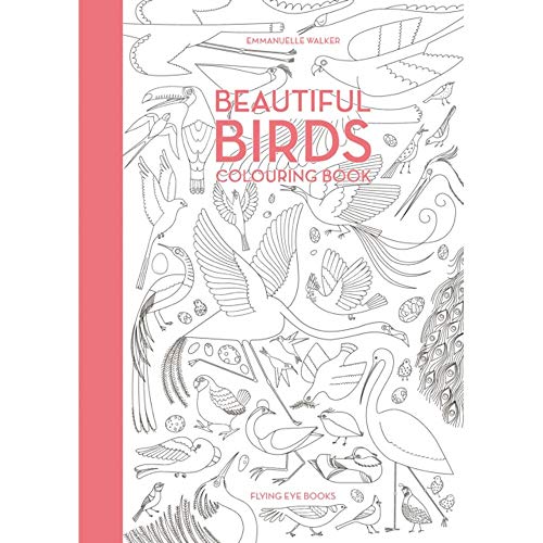 9781909263819: Beautiful Birds Colouring Book: 1