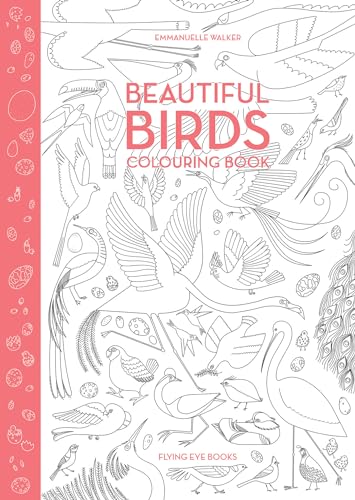 9781909263956: Beautiful Birds Coloring Book