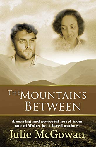 Imagen de archivo de The Mountains Between a la venta por PBShop.store US