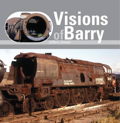 Beispielbild fr Visions of Barry zum Verkauf von WorldofBooks