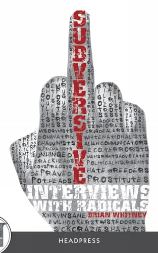 Stock image for Subversive: Interviews with Radicals for sale by SecondSale