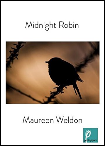 Stock image for Midnight Robin for sale by Goldstone Books