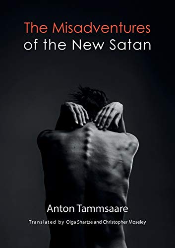 Stock image for The Misadventures of the New Satan for sale by Night Heron Books