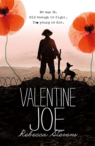 9781909489608: Valentine Joe: a touching wartime drama, perfect for fans of Dan Smith
