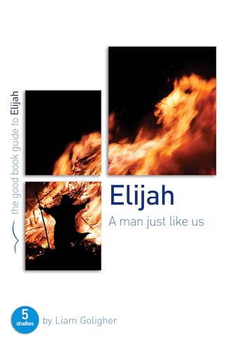 Beispielbild fr Elijah: A man just like us (Good Book Guide): 5 studies for individuals or groups (Good Book Guides) zum Verkauf von WorldofBooks