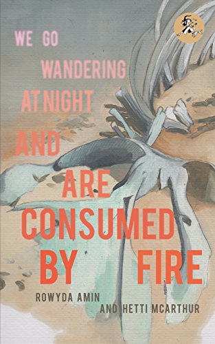 Imagen de archivo de We Go Wandering at Night and Are Consumed By Fire a la venta por AwesomeBooks