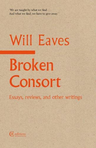 Beispielbild fr Broken Consort: Essays, reviews and other writings zum Verkauf von WorldofBooks