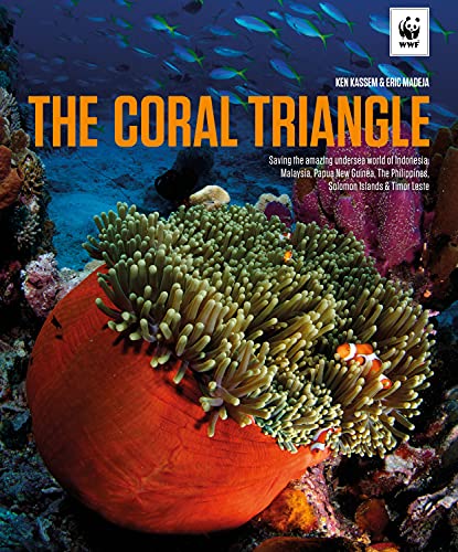 Beispielbild fr Coral Triangle zum Verkauf von Reuseabook