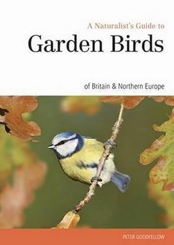 Beispielbild fr A Naturalist's Guide to Garden Birds of the British Isles (Naturalist's Guides) zum Verkauf von Books From California