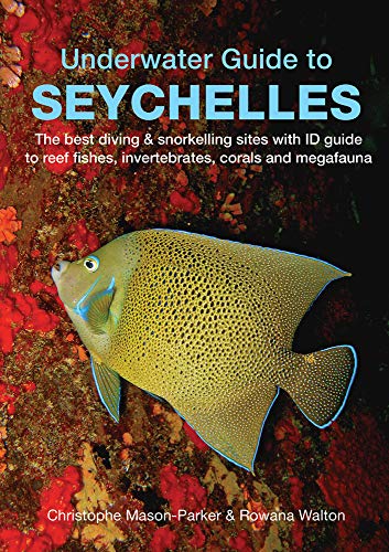 Beispielbild fr Underwater Seychelles zum Verkauf von Midtown Scholar Bookstore