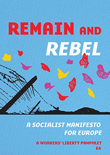 Imagen de archivo de Remain and rebel: a socialist manifesto for Europe a la venta por GreatBookPrices