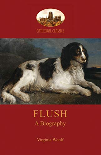 Stock image for Flush a biography with Elizabeth BarrettBrowning's poem Aziloth Books for sale by PBShop.store US