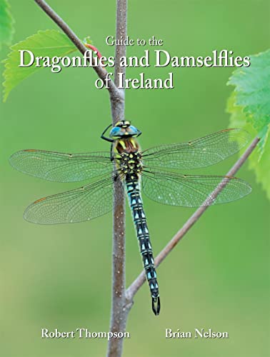 Stock image for Dragonflies and Damselflies of Ireland for sale by WorldofBooks