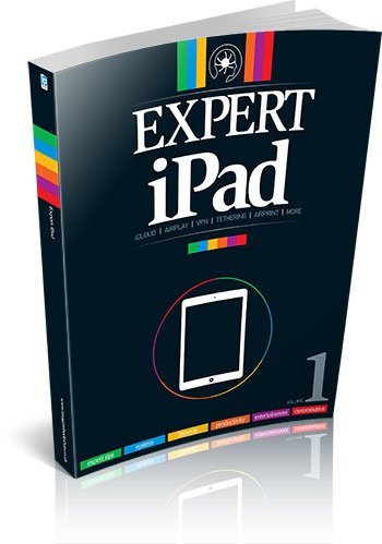 Beispielbild fr Expert iPad zum Verkauf von WorldofBooks
