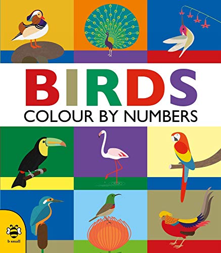 Imagen de archivo de Colour By Numbers: Birds: 1 a la venta por WorldofBooks