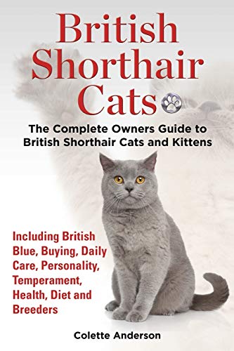 9781909820371: British Shorthair Cats, The Complete Owners Guide to British Shorthair Cats and Kittens Including British Blue, Buying, Daily Care, Personality, Temperament, Health, Diet and Breeders