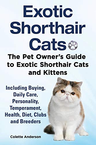 Beispielbild fr Exotic Shorthair Cats The Pet Owner's Guide to Exotic Shorthair Cats and Kittens Including Buying, Daily Care, Personality, Temperament, Health, Diet, Clubs and Breeders zum Verkauf von medimops