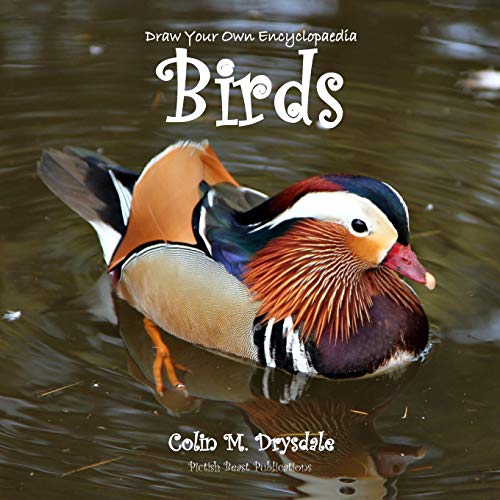 9781909832411: Draw Your Own Encyclopaedia Birds: Volume 2