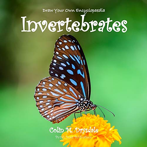 9781909832459: Draw Your Own Encyclopaedia Invertebrates