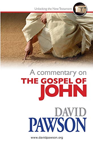 Beispielbild fr A Commentary on the Gospel of John zum Verkauf von WeBuyBooks