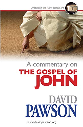 Stock image for A Commentary on the Gospel of John for sale by Chiron Media