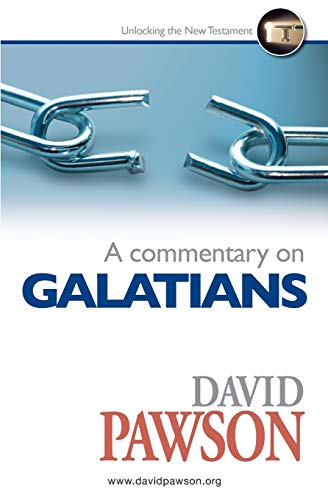 Stock image for A Commentary on Galatians for sale by Lucky's Textbooks