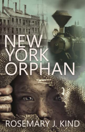 Beispielbild fr New York Orphan (Tales of Flynn and Reilly) zum Verkauf von SecondSale