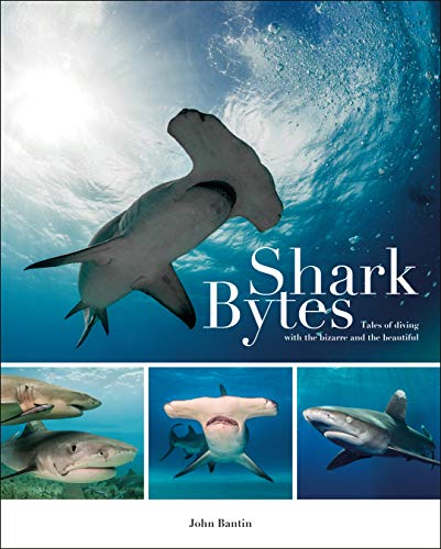 Beispielbild fr Shark Bytes  " Tales of Diving with the Bizarre and the Beautiful zum Verkauf von WorldofBooks