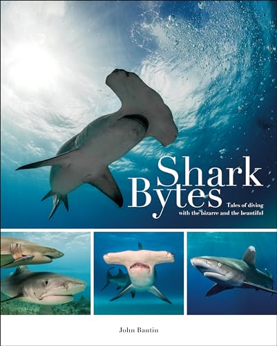 Stock image for Shark Bytes  " Tales of Diving with the Bizarre and the Beautiful for sale by WorldofBooks