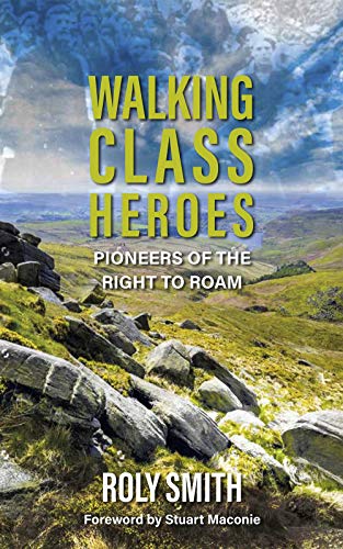 Stock image for Walking Class Heroes for sale by Blackwell's