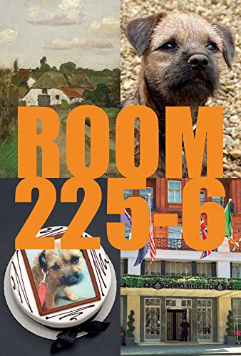 Beispielbild fr Room 225-6: A Novel zum Verkauf von WorldofBooks