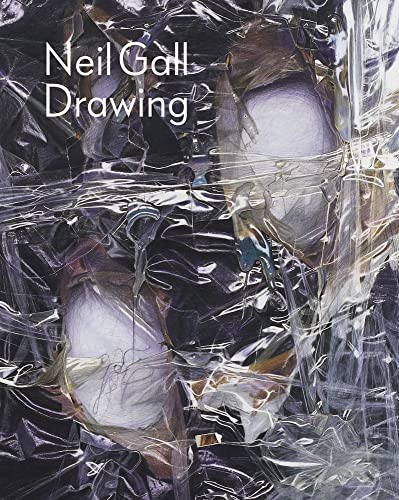 Stock image for Neil Gall: Drawing for sale by WorldofBooks