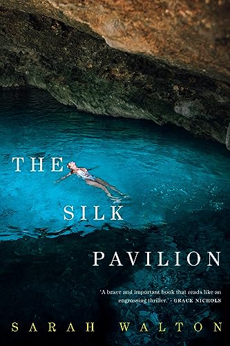 Imagen de archivo de The Silk Pavilion a la venta por WorldofBooks