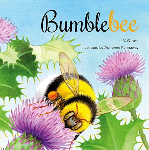Beispielbild fr Bumblebee zum Verkauf von WorldofBooks