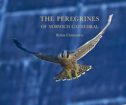 Stock image for The Peregrines of Norwich Cathedral: Robin Chittenden for sale by WorldofBooks