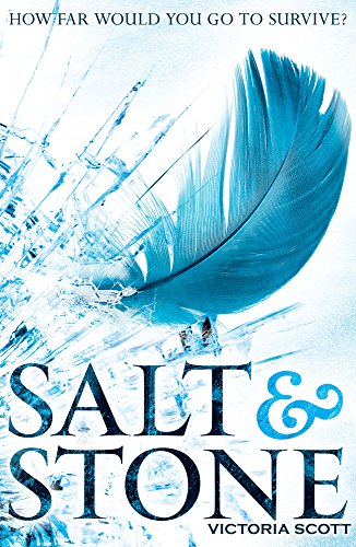 9781910002063: Salt & Stone: 2 (Fire & Flood)