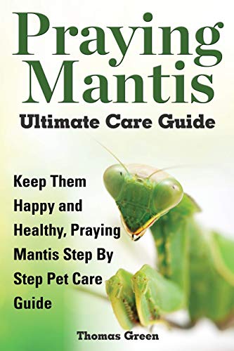 

Praying Mantis Ultimate Care Guide
