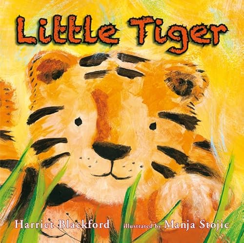 Beispielbild fr Little Tiger zum Verkauf von AwesomeBooks